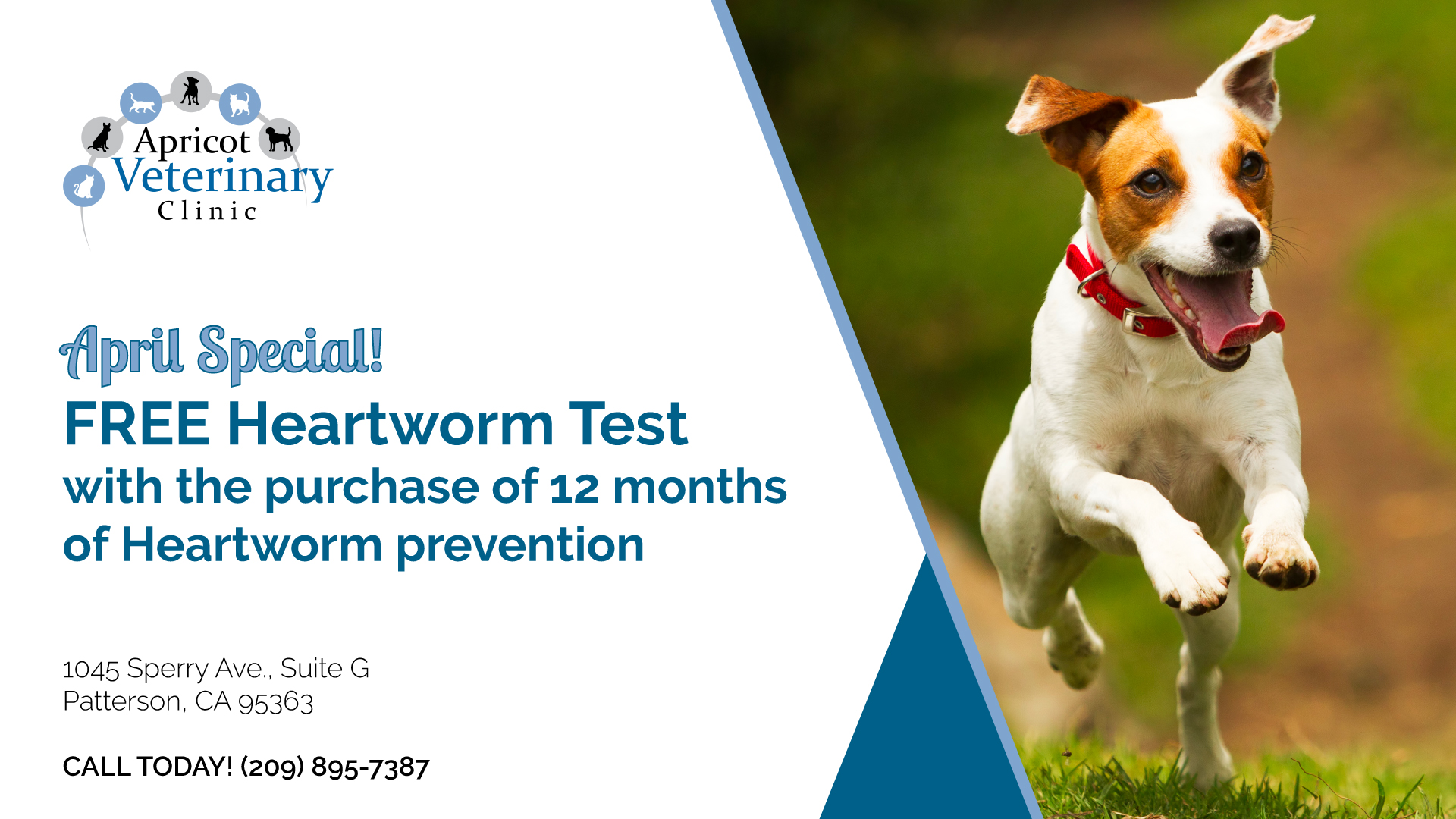 Veterinarian in Patterson, CA Apricot Veterinary Clinic