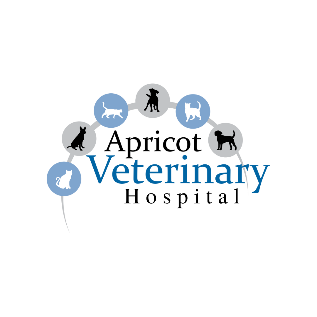 Veterinarian in Patterson, CA | Apricot Veterinary Clinic